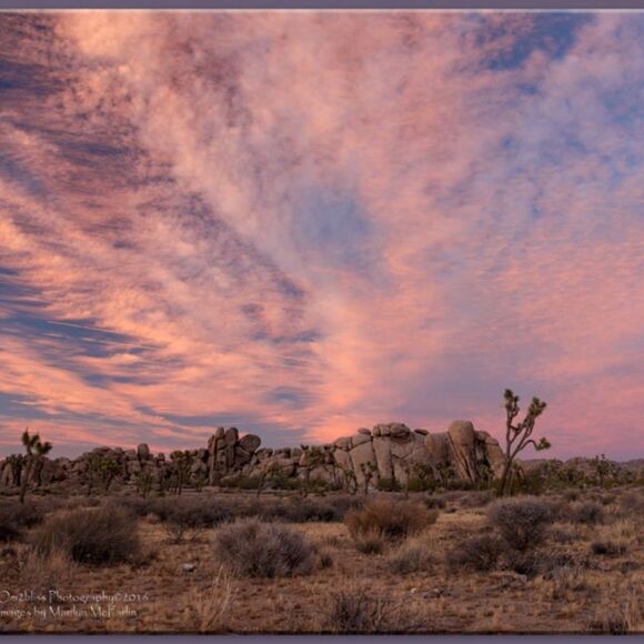 Some Amazing JT sunsets! - Picture 2 of 16
